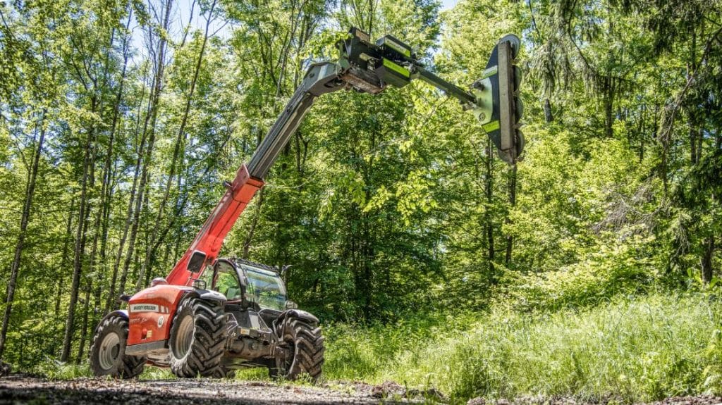 Selective pruning in an Australian olive grove to improve light distribution